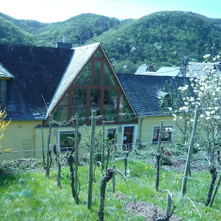 Am Weinberg بيت ضيافة