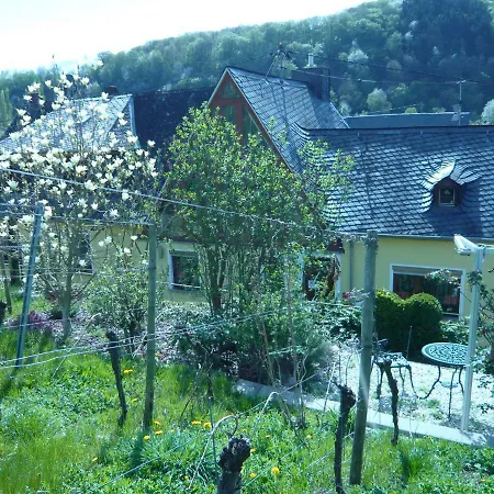 Am Weinberg بيت ضيافة ميسينيش