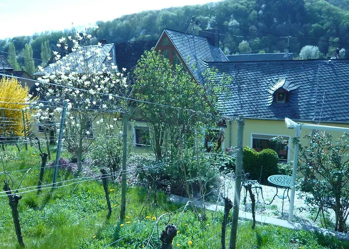 Am Weinberg Casa de hóspedes Mesenich